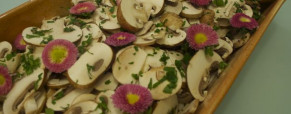 Salade de champignons