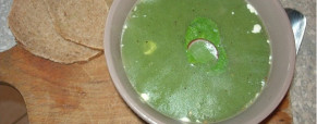 Potage aux fanes de radis