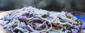 Vermicelles au chou rouge