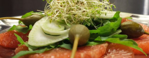Salade de pamplemousse