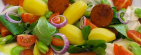 Salade Primavera