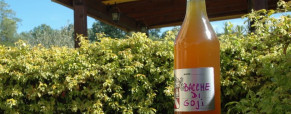 Liqueur aux baies de goji