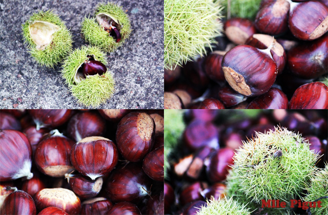 Châtaignes Entières et leur Bogues